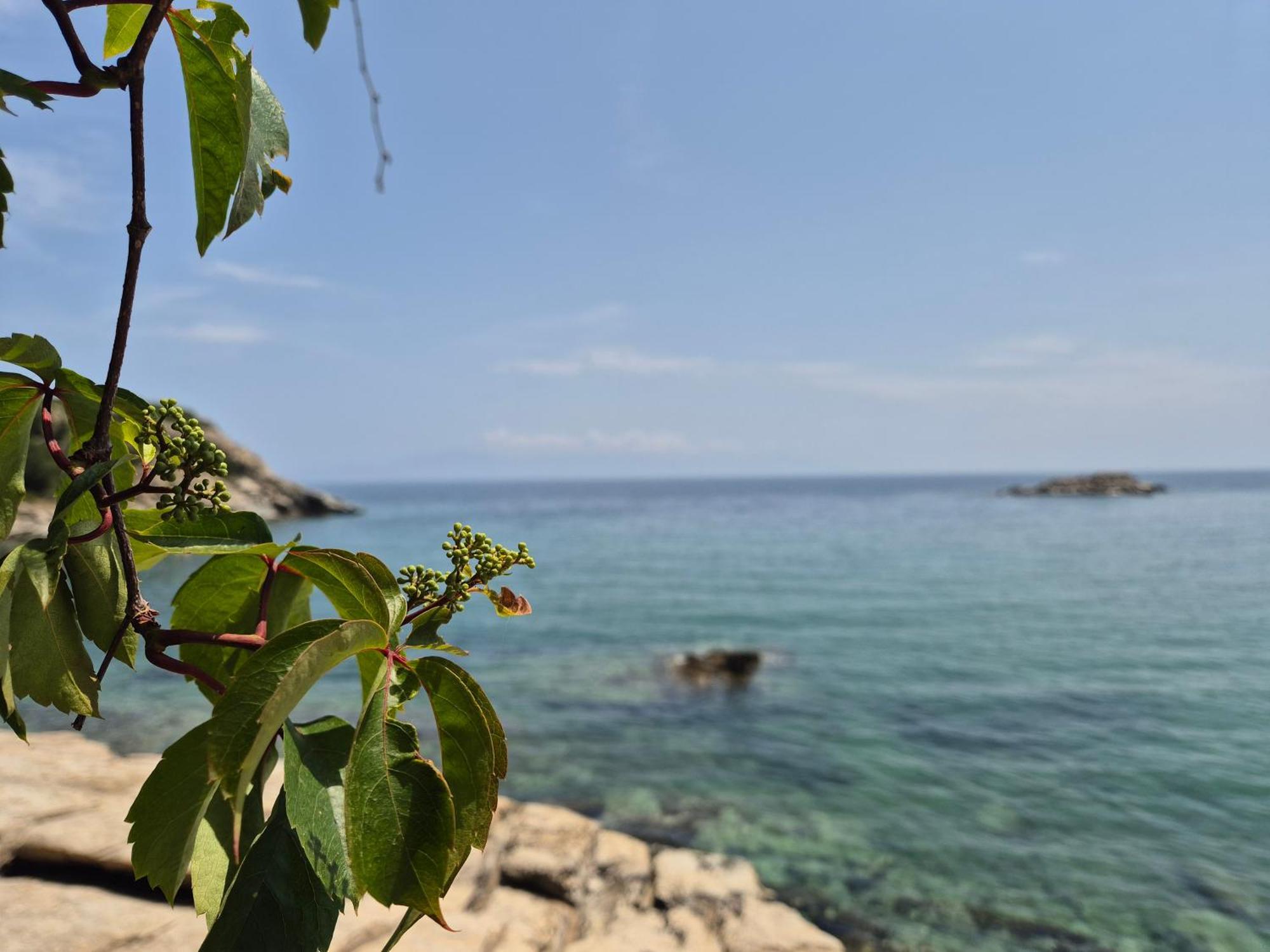Beach Apartment PalaiónTsiflíkion Kültér fotó